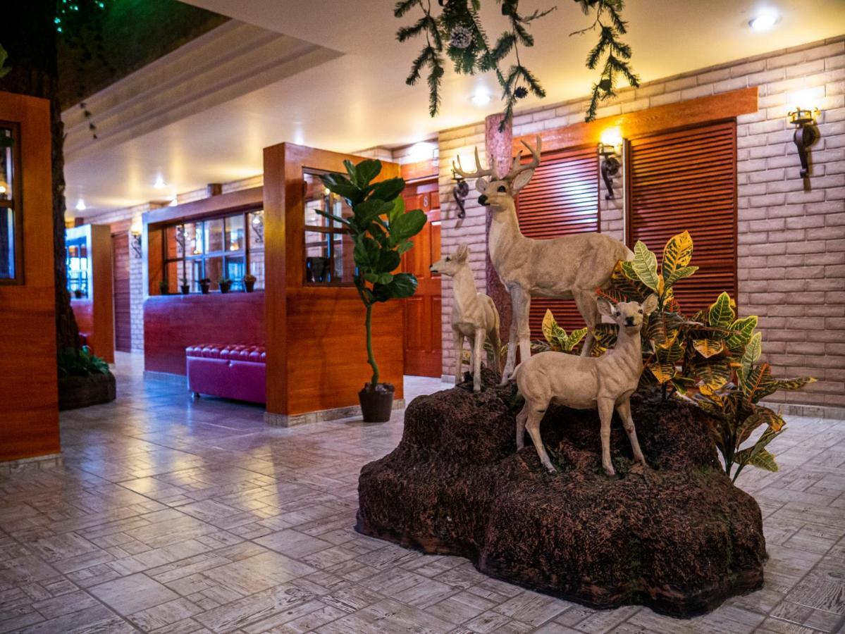Hotel El Condor Cortazar 외부 사진
